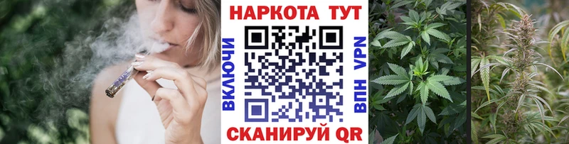 Бошки Шишки Харабали