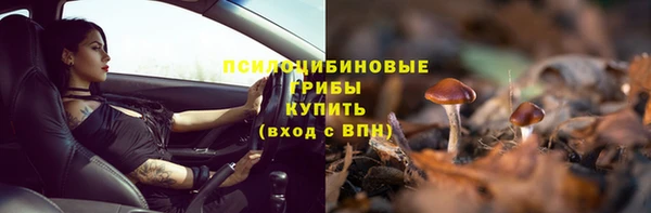 альфа пвп Надым