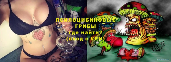 альфа пвп Надым
