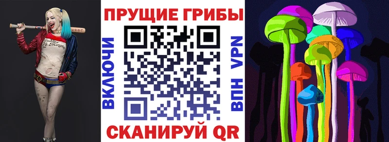даркнет состав  блэк спрут ССЫЛКА  Харабали  Псилоцибиновые грибы GOLDEN TEACHER 